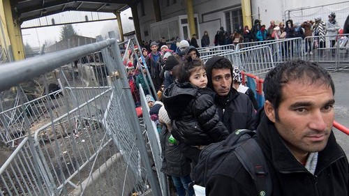 Austria considers asylum applications at borders - ảnh 1